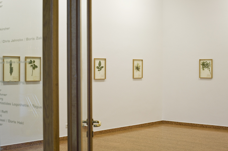 Asking the trees II, Galerie im Andechshof Innsbruck, Annelies Senfter 2017